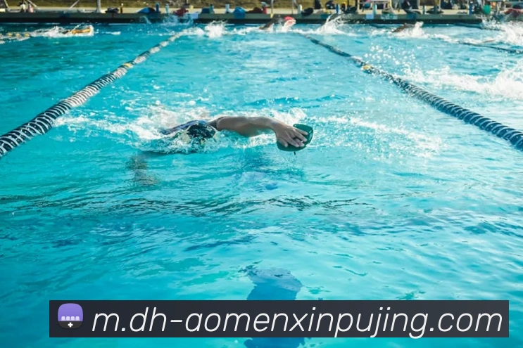 App Interface Preview